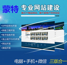 企業(yè)專業(yè)網(wǎng)站建設(shè)費(fèi)用詳解